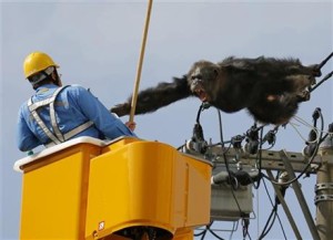 Photo Credit: Kyodo News via AP