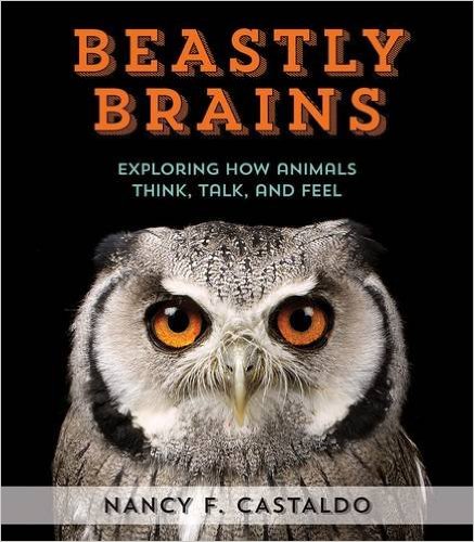Cover of BEASTLY BRAINS (Houghton Mifflin Harcourt) by Nancy F. Castaldo.