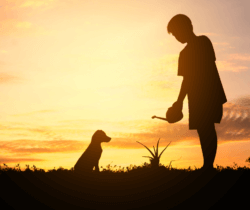 A child waters a plant with a small dog sitting nearby.