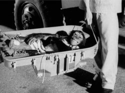 A US Air Force commander "greets" chimpanzee Ham after his flight on the Mercury Redstone rocket.