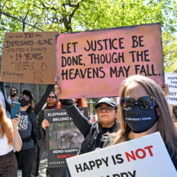 A photo of People holding signs and calling for freedom for Happy at a rally outside the Bronx