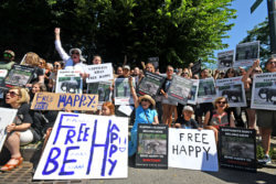 A photo of #FreeHappy rally attendees