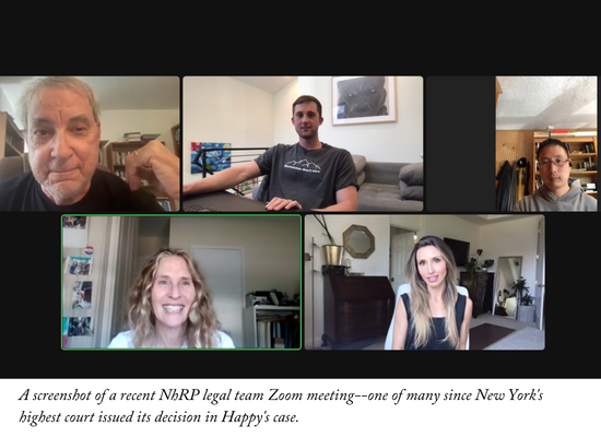 A screenshot of a NhRP legal team Zoom meeting