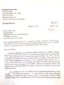 The text of a letter brief the NhRP delivered to a New York Appellate Court on March 27, 2017.