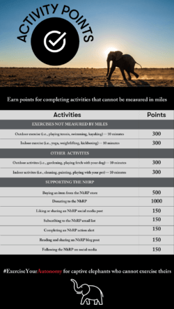 An infographic listing possible activities and associated points for the NhRP's virtual race