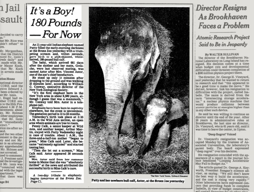 A screenshot of a newspaper article about the birth of Patty's son.