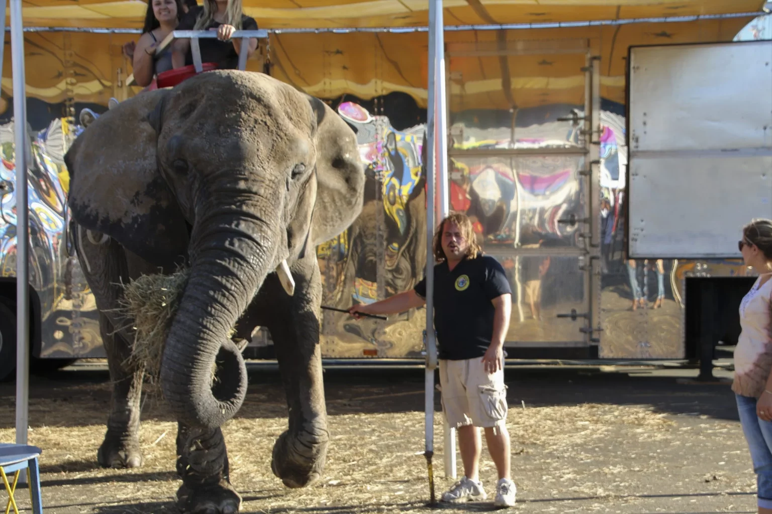 People riding on an elephant&#039;s back