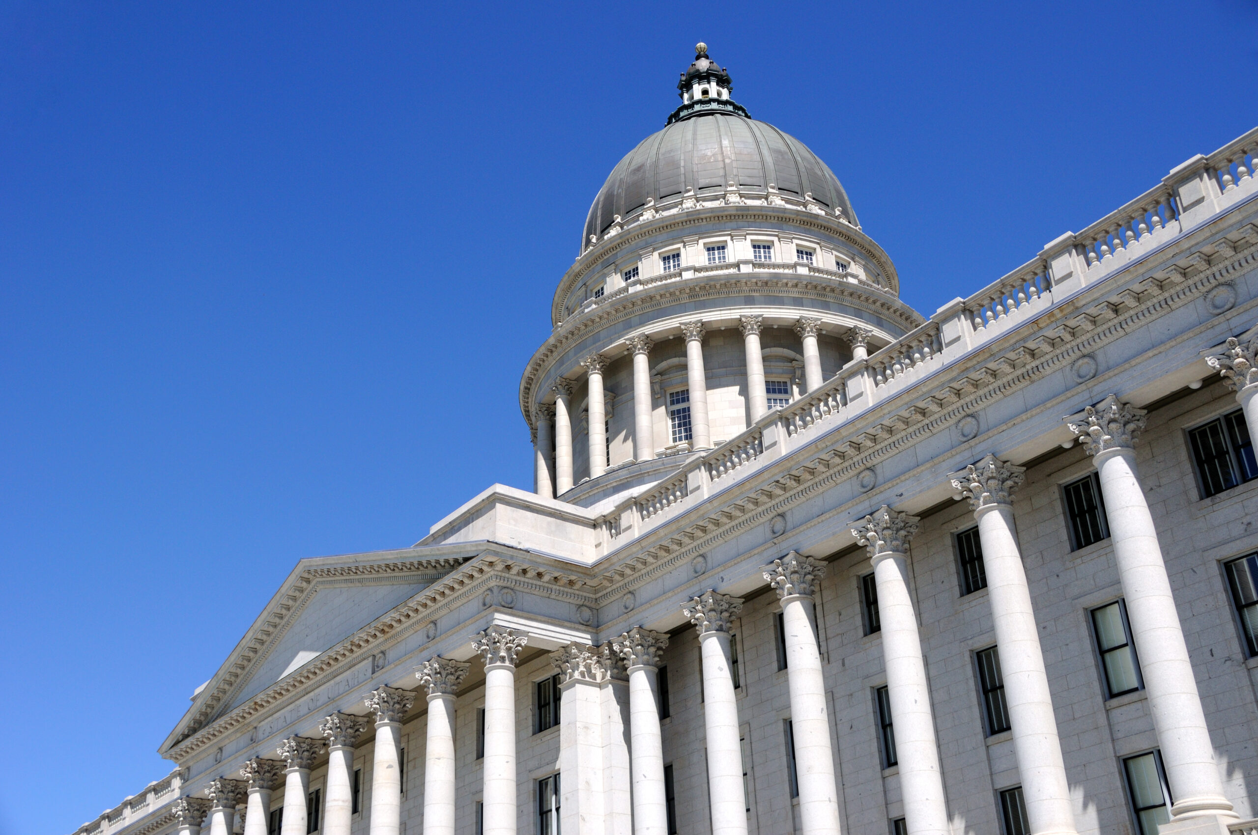 Nonhuman Rights Project Sues Utah Over Unconstitutional Anti-Rights Law ...