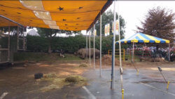 Beulah the elephant lies on her side on the edge of a parking lot at the Big E fair.