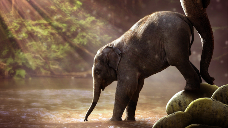 An adult elephant gently guides a baby elephant to step into a pool of water as sunlight falls from the trees.