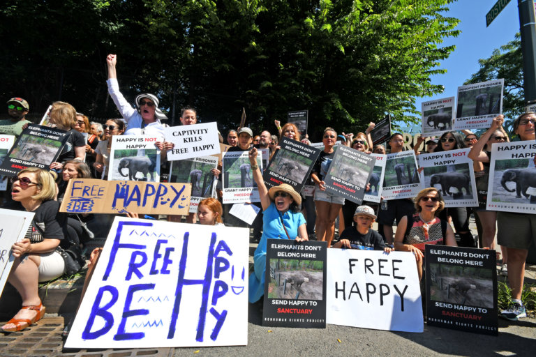 A photo of #FreeHappy rally attendees