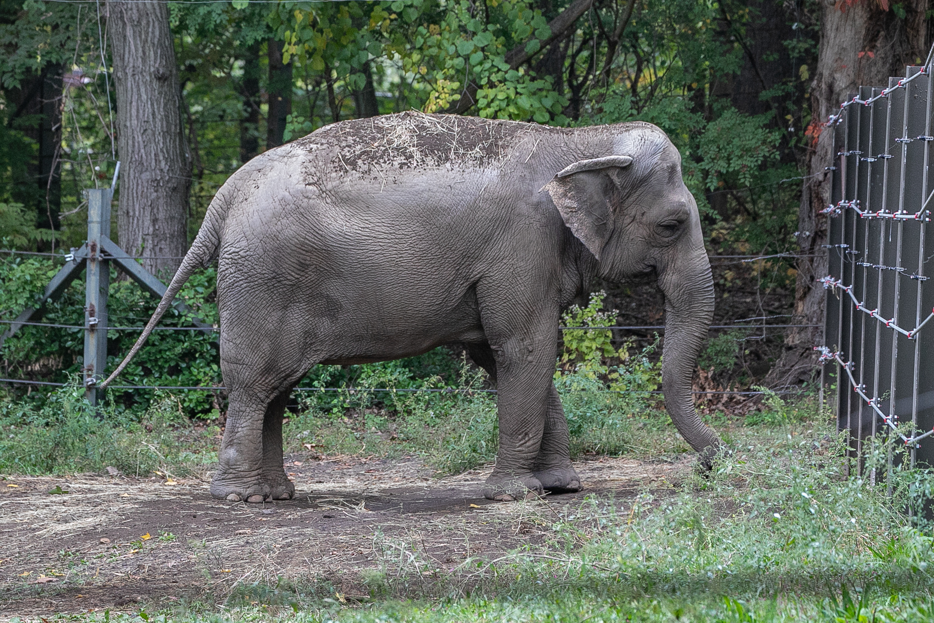 Happy | Nonhuman Rights Project