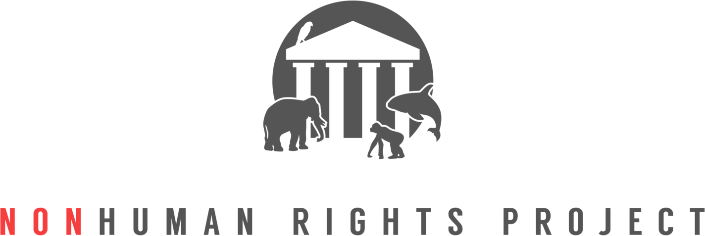 Nonhuman Rights Project Argues for Elephant Personhood, Rights in New ...