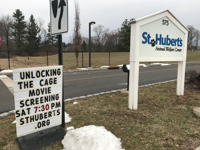 An Inspiring Night with Animal Advocates in New Jersey