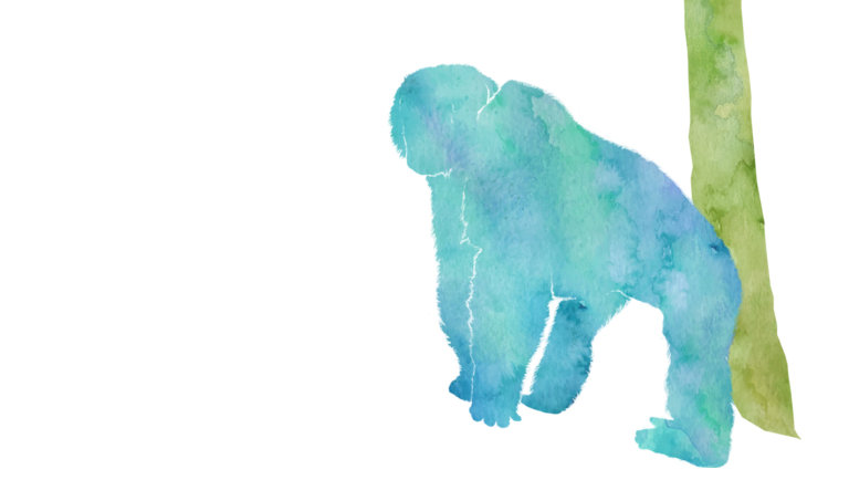 Watercolor illustration of Tommy the chimpanzee.